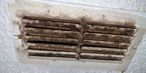 How to Test for Mold in Air Vents - Superior Air Duct Cleaning San Antonio